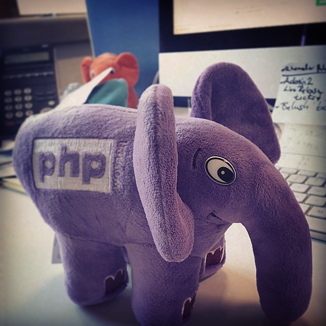 New elephant...