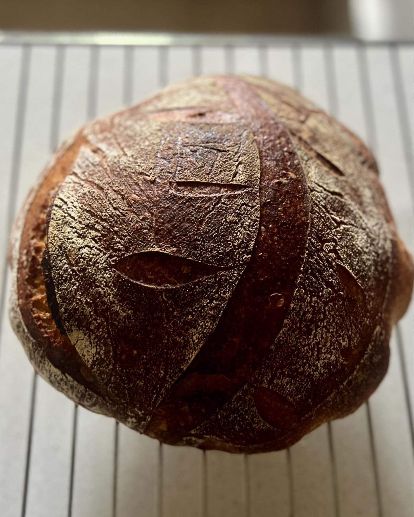 Sourdough Sunday!